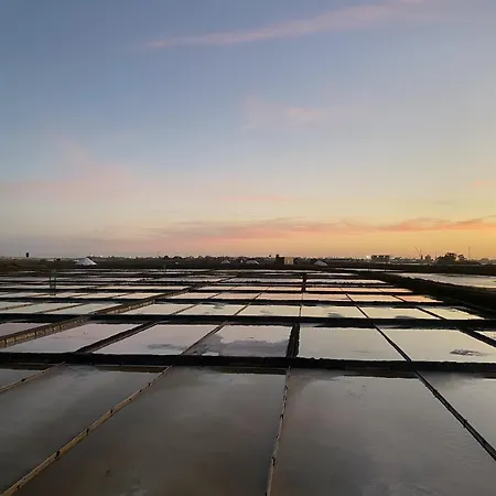 Apartament Flamingo *