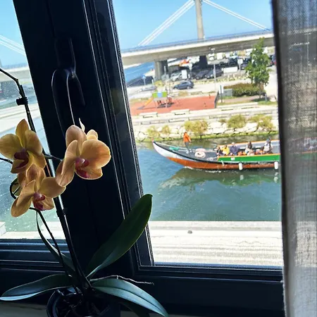 Appartement Flamingo *