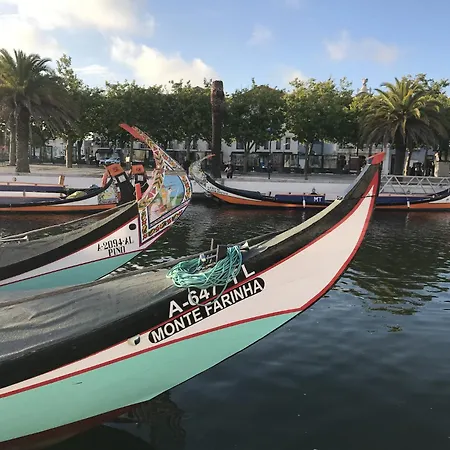Flamingo Apartment Aveiro