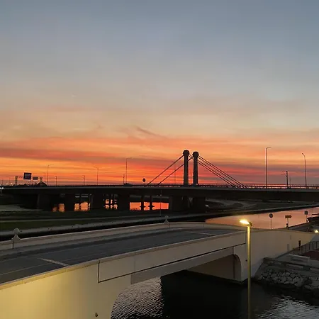 Apartment Flamingo Aveiro