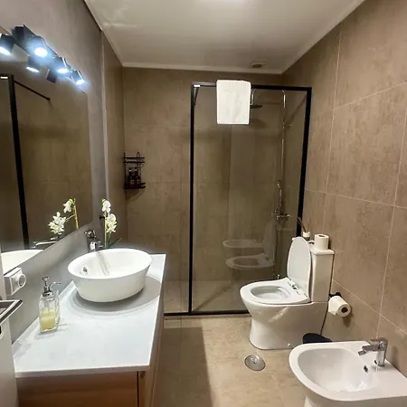 Apartment Flamingo Aveiro