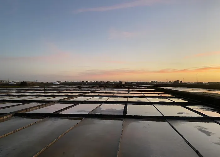 Apartment Flamingo *