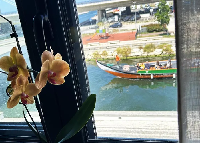 아파트 Flamingo *