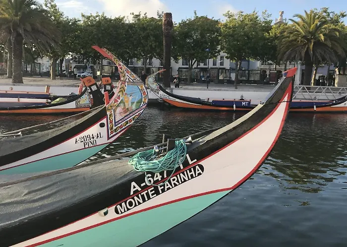 Flamingo Apartment Aveiro