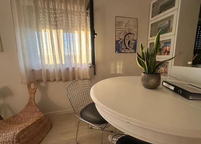 Flamingo * 아베이루